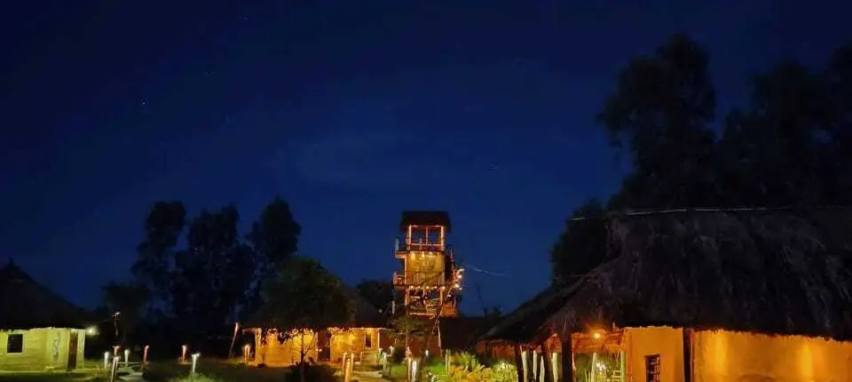 sundarban tour 1 night 2 days