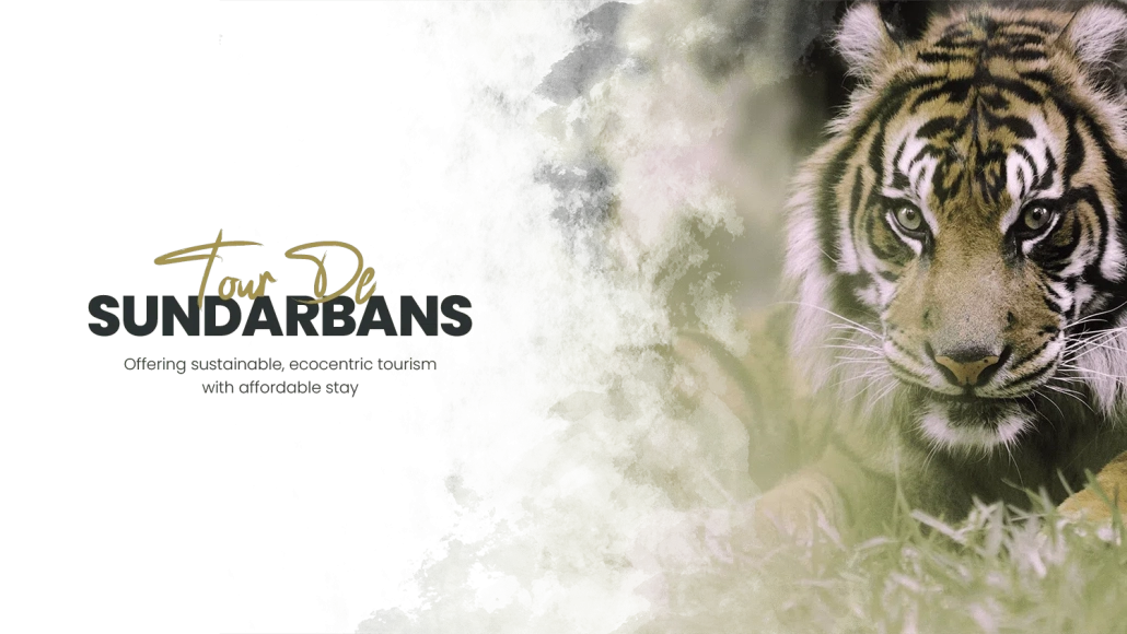 Tiger at Sundarbans