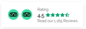 trip advisor review