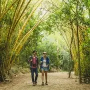 sundarban eco tourism
