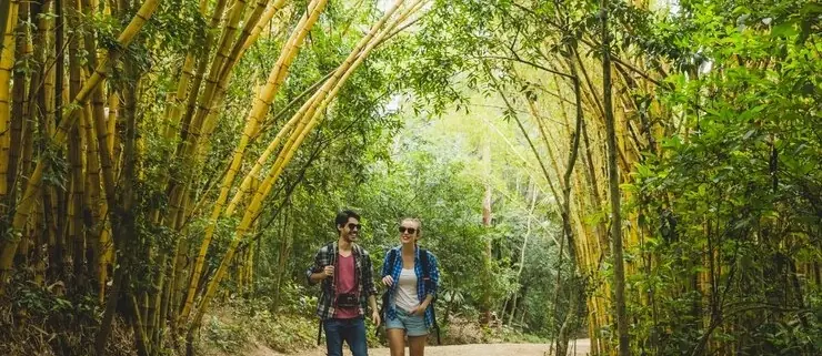 sundarban eco tourism