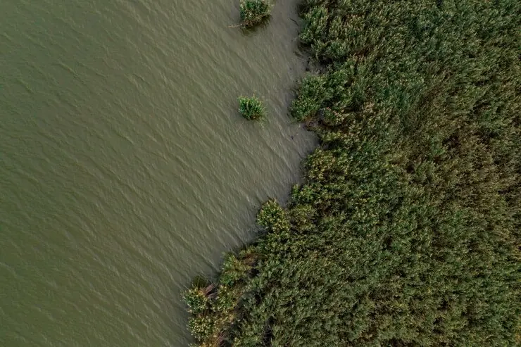 sunderban trip