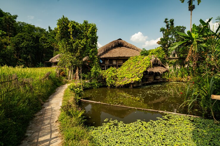 outstanding eco village resort