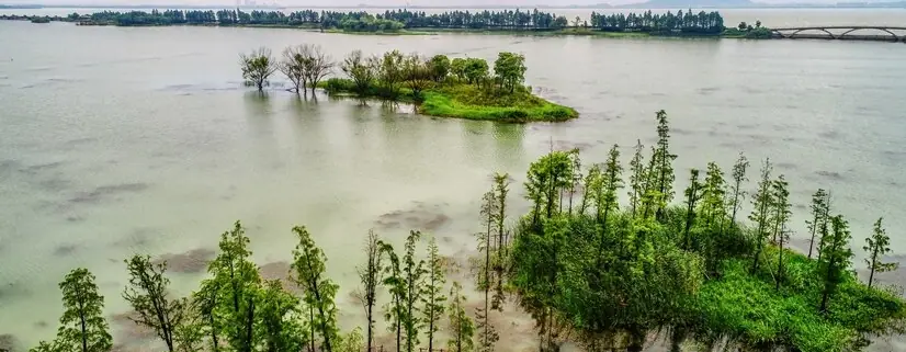 short trip near kolkata for 1 day
