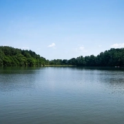 sundarban kolkata tour