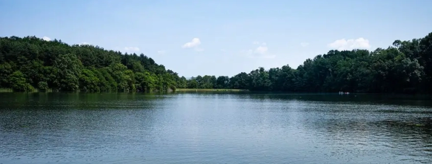 sundarban kolkata tour