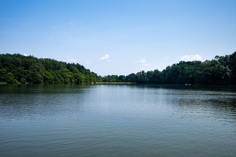 Sundarban forest tour