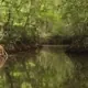 sundarban private tour