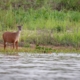 sundarban trip