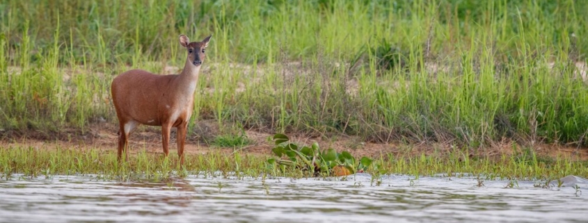 sundarban trip