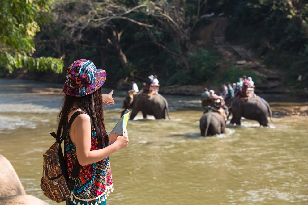  Sundarban tour package from Kolkata