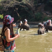 sundarban trip