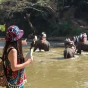sundarban trip