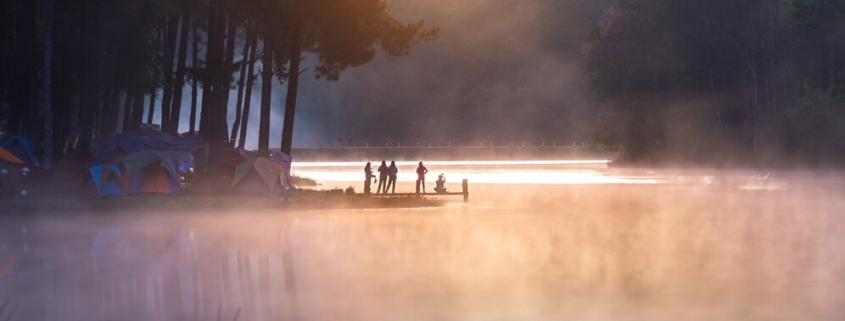 Sundarban private tour