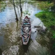 sundarban kolkata tour