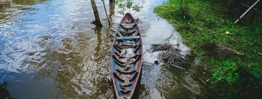 sundarban kolkata tour