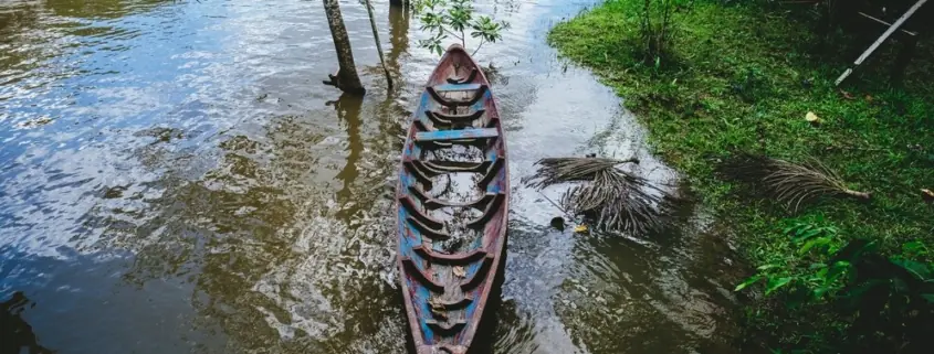 sundarban kolkata tour