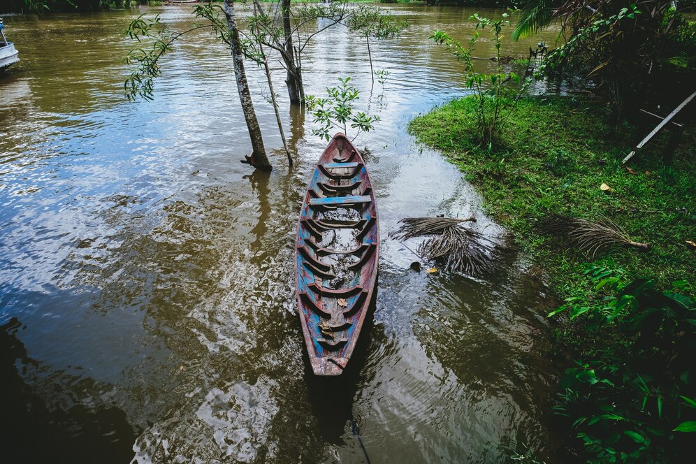 sundarban kolkata tour