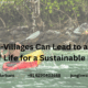 sundarban tour