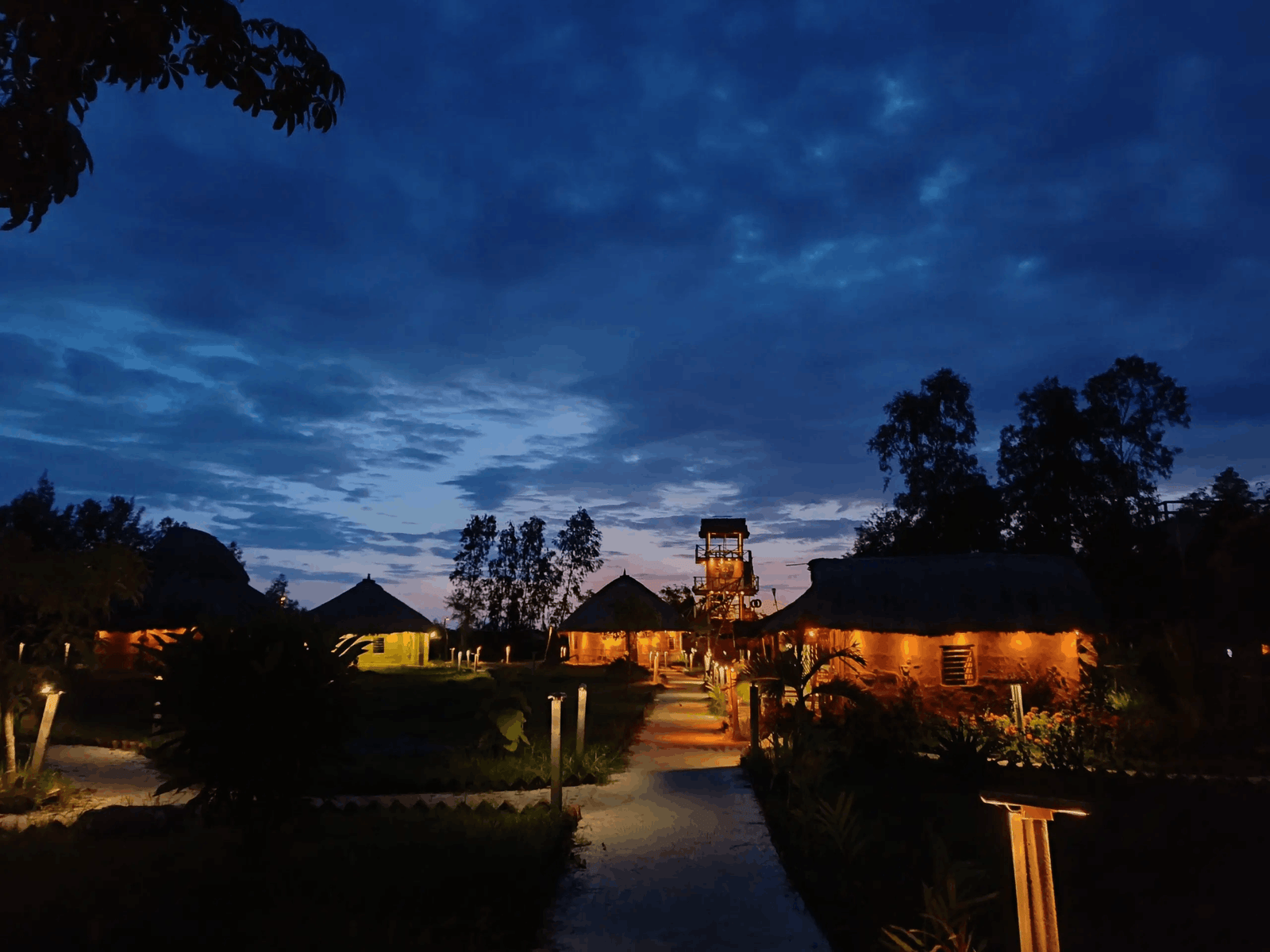 sundarbans at night