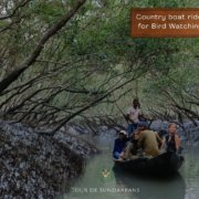sundarbans tour