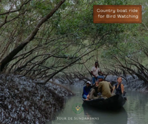 sundarbans tour