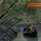 sundarbans tour