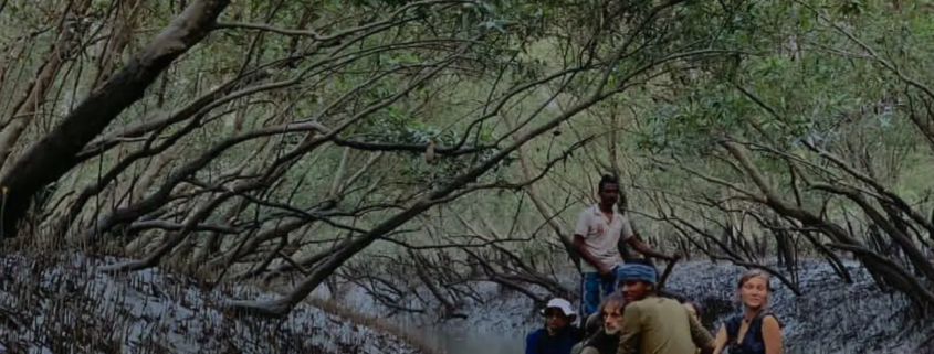 sundarbans tour