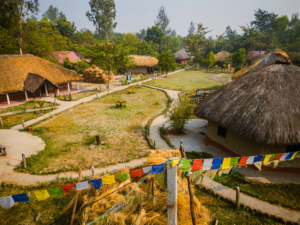 sundarbans