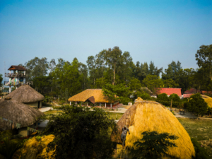 Sundarbans Package