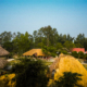 Sundarbans Package