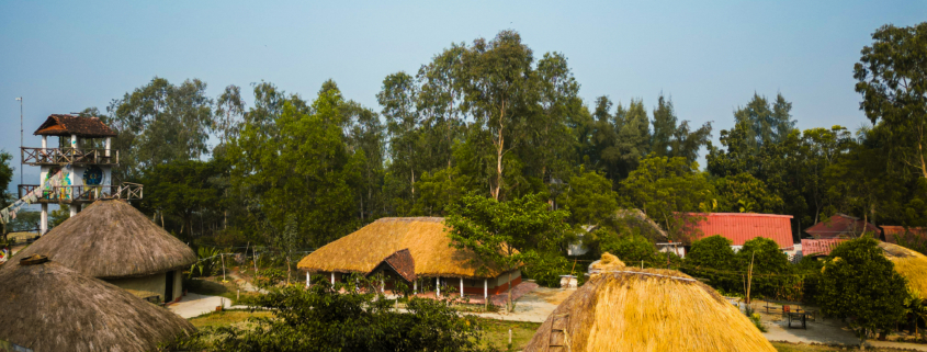 Sundarbans Package